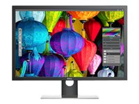 Dell UltraSharp UP3017 - LED monitor - 30" UP3017