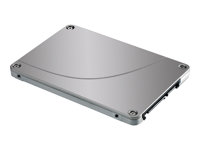 HP - SSD - 256 GB - internal - 2.5" SFF (in 3.5" carrier) - SATA 6Gb/s - for Workstation Z1 G3, Z2, Z2 G4, Z2 G5, Z238, Z4 G4, Z420, Z620, Z640, Z8 G4; ZCentral 4R A3D26AT