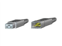 Cisco Jumper - Power cable - IEC 60320 C20 to IEC 60320 C19 - AC 250 V - 2.74 m - for P/N: MDS-9506 CAB-C19-CBN=-NB