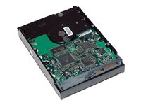 HP - Hard drive - 2 TB - internal - 3.5" - SATA 6Gb/s - 7200 rpm - buffer: 64 MB - for Workstation Z2 G4, Z2 G9, Z230, Z4 G4, Z420, Z6 G4, Z620, Z640, Z8 G4, Z820; ZCentral 4R QB576AA-NB