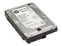 HP - Hard drive - 4 TB - internal - 3.5" - SATA 6Gb/s - 7200 rpm - buffer: 128 MB - for Workstation Z2 G4, Z2 G5, Z2 G8, Z2 G9, Z4 G4, Z4 G5, Z6 G4, Z8 G4, Z8 G5; ZCentral 4R K4T76AA-NB
