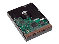 HP - Hard drive - 500 GB - internal - 3.5" - SATA 6Gb/s - 7200 rpm - buffer: 16 MB - for Workstation Z1 G5, Z2 G4, Z2 G5, Z2 G8, Z2 G9, Z238, Z4 G4, Z420, Z6 G4, Z620, Z640, Z8 G4 LQ036AA