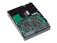HP - Hard drive - 2 TB - internal - 3.5" - SATA 6Gb/s - 7200 rpm - buffer: 64 MB - for Workstation Z2 G4, Z2 G9, Z230, Z4 G4, Z420, Z6 G4, Z620, Z640, Z8 G4, Z820; ZCentral 4R QB576AT-NB