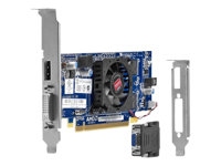 AMD Radeon HD 7450 - Graphics card - Radeon HD 7450 - 1 GB GDDR3 - PCIe 2.0 x16 low profile - DVI, DisplayPort - for HP 4000, 6005, 6200, 6300, 6305, 8200, Elite 8300 B1R44AA-REF
