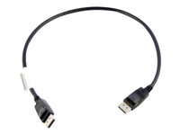 Lenovo - DisplayPort cable - DisplayPort (M) to DisplayPort (M) - 0.5 m - for ThinkCentre M75t Gen 2; M80s Gen 3; M90a Gen 3; M90q Gen 2; M90t Gen 3; ThinkCentre neo 70 0B47396