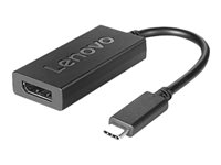 Lenovo - USB / DisplayPort adapter - 24 pin USB-C to DisplayPort 4X90Q93303